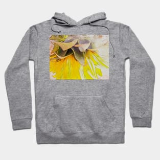 Follow the Sun Hoodie